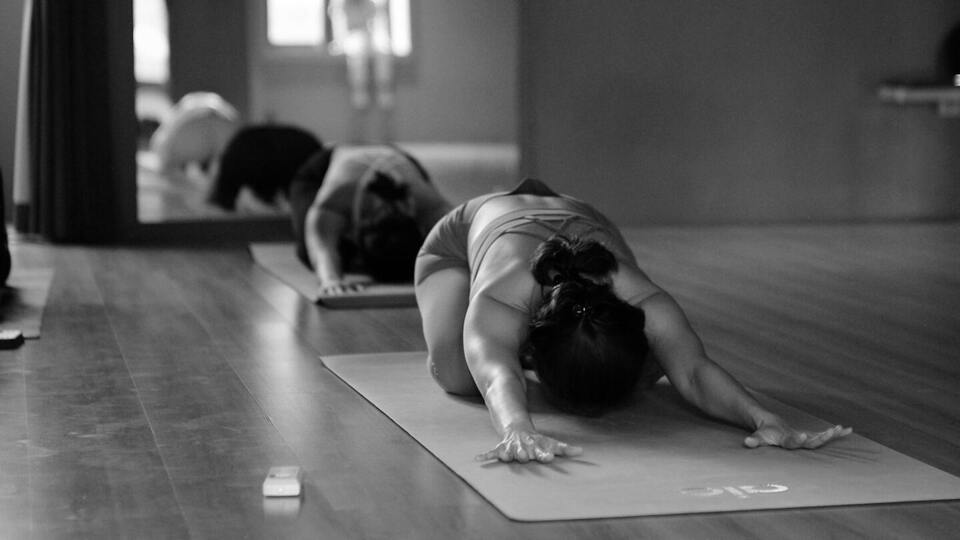 Opening celebration free yoga class