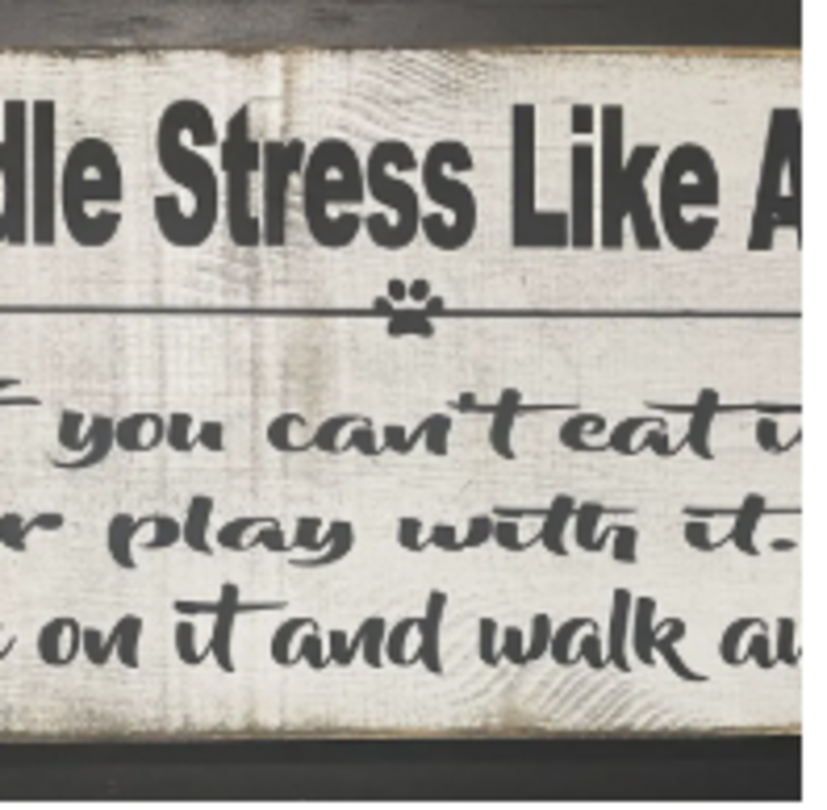 Handle Stress Like a Dog