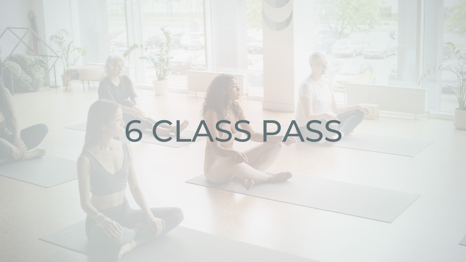 6 Class Pass