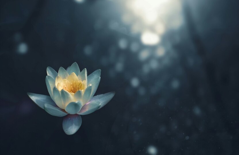 Offering Image