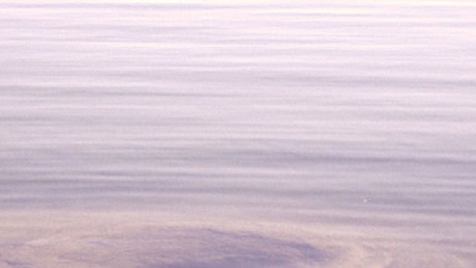 Offering Image