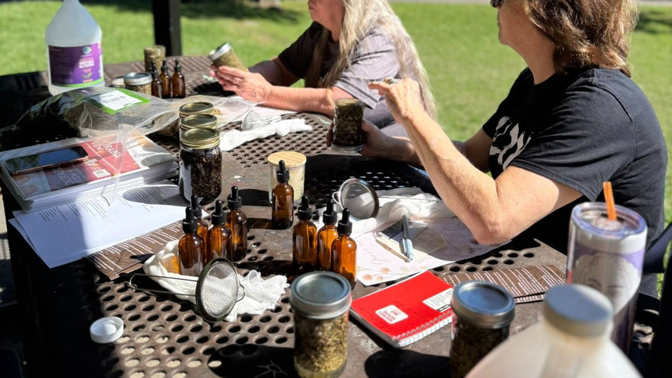 Botanical Extractions: The Art of Making Tinctures (Part 3)