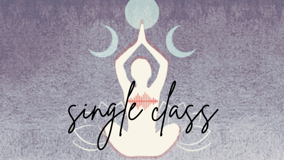Single Class