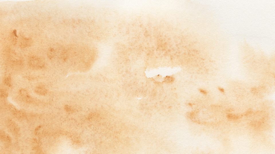 All-Access Monthly Membership