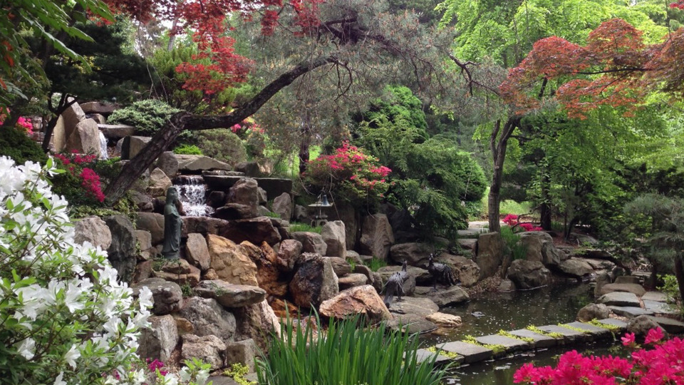 Video Library Membership