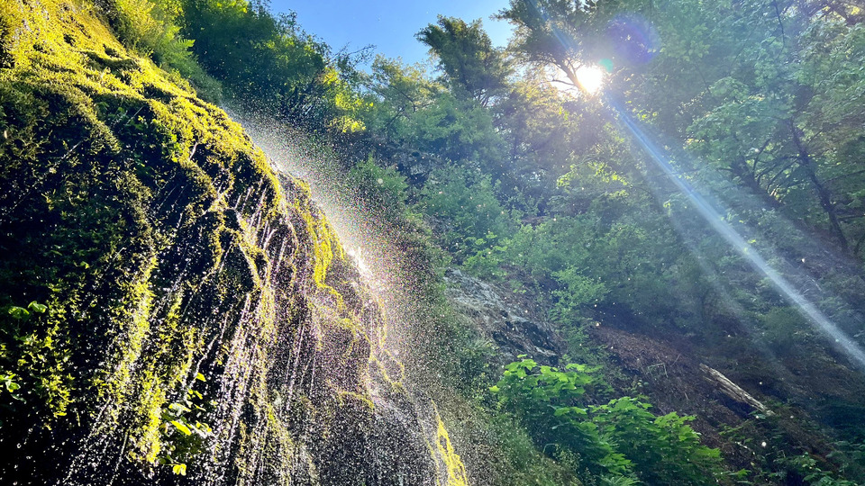 5 Virtual Yoga Class Pass