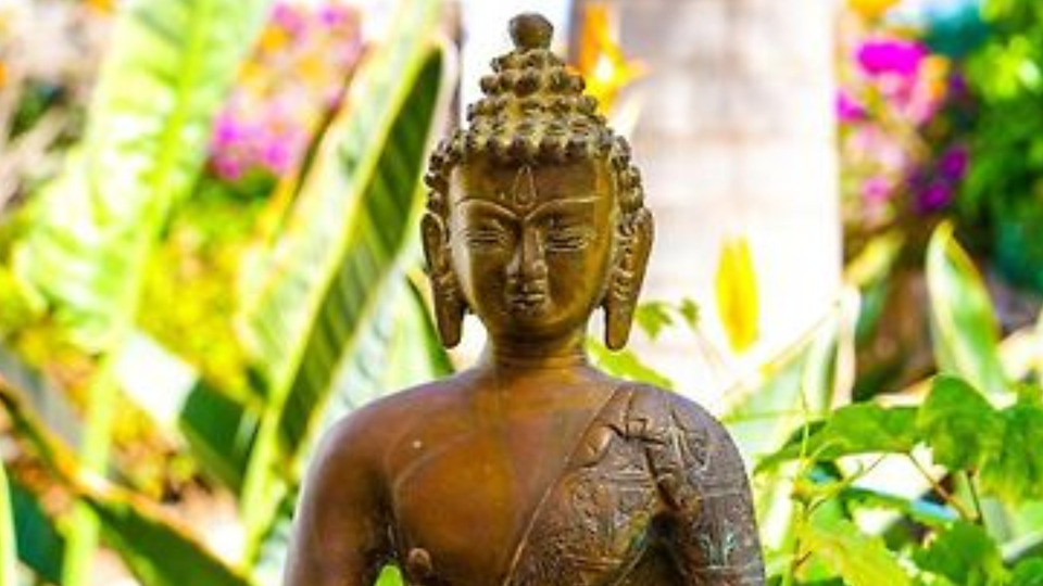 Offering Image