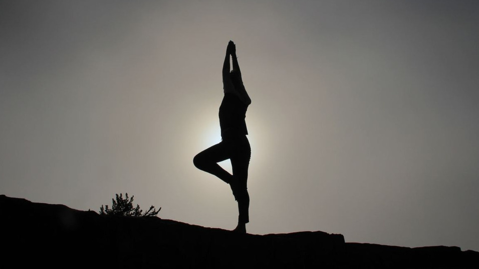 All-access pass (monthly)