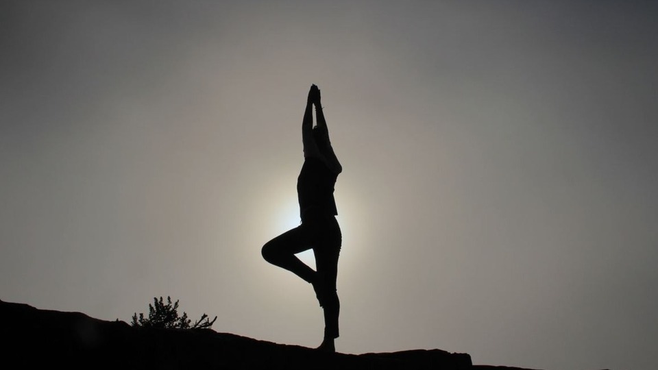 10 Class Live Streaming Pass