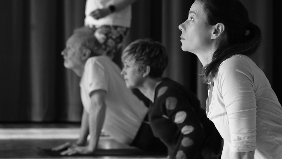 Annual Online Yoga Membership 