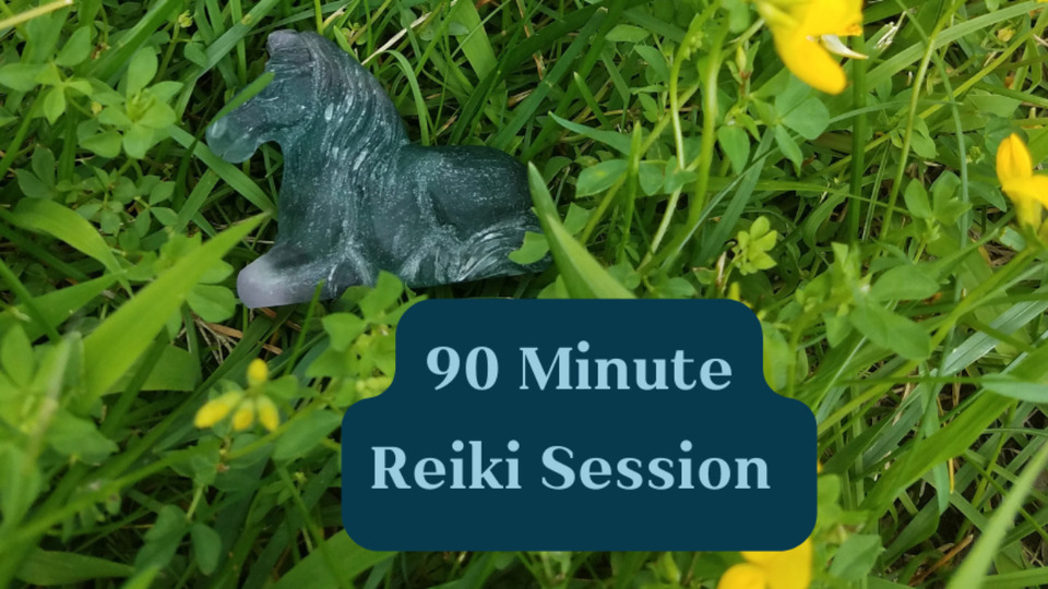 Three 90 Minute Distance Reiki Sessions