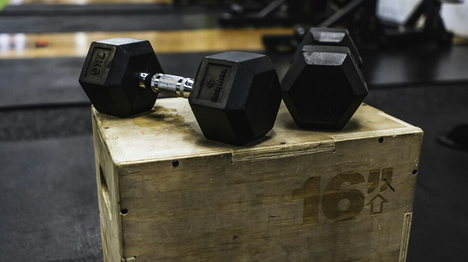 Individual WEIGHTS ONLY Membership