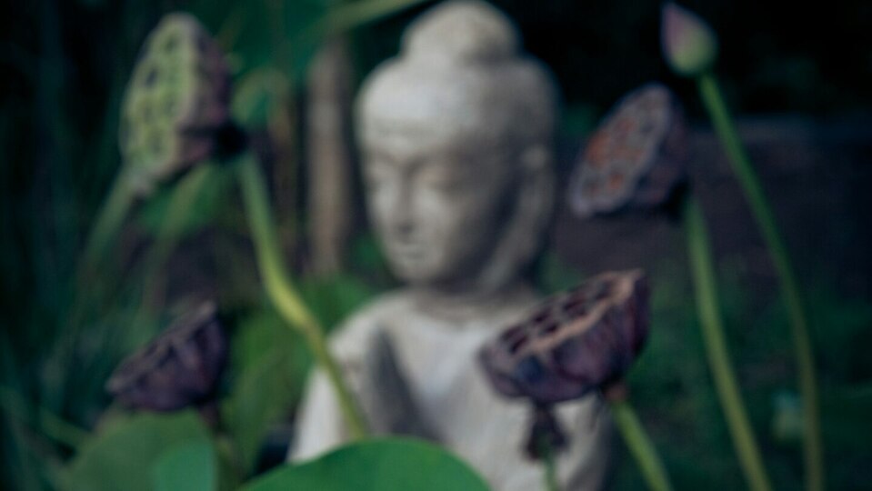 Sacred Stillness