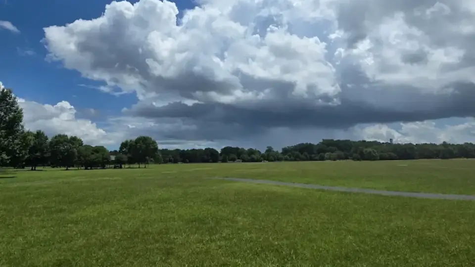 Yoga on the Lawn