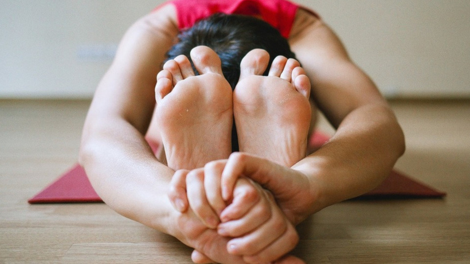 All Access Monthly Membership