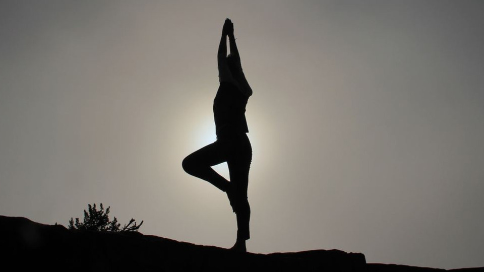 7 Day Visitor package