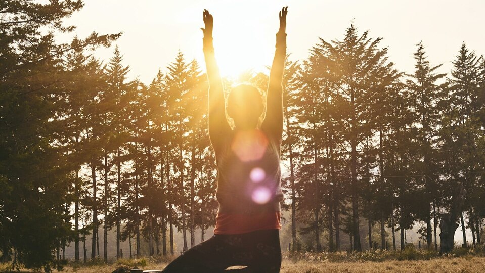 5-Class Flex Pack-Special!