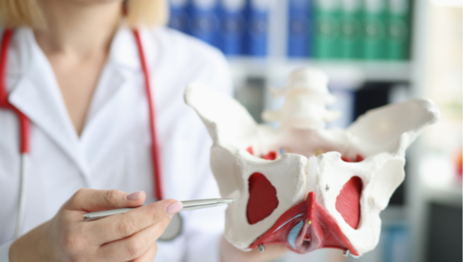 Pelvic Assessment