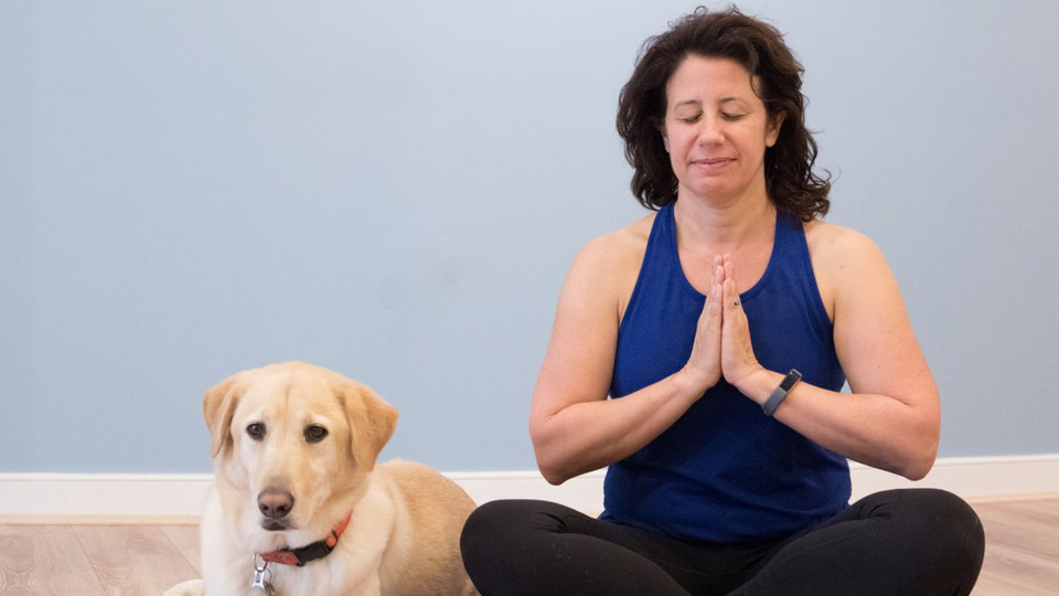 4-Pack Private or Group Yoga Classes