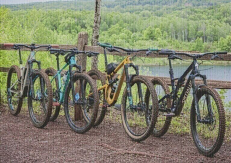 Mountain Bike Rental: Your Trail Awaits