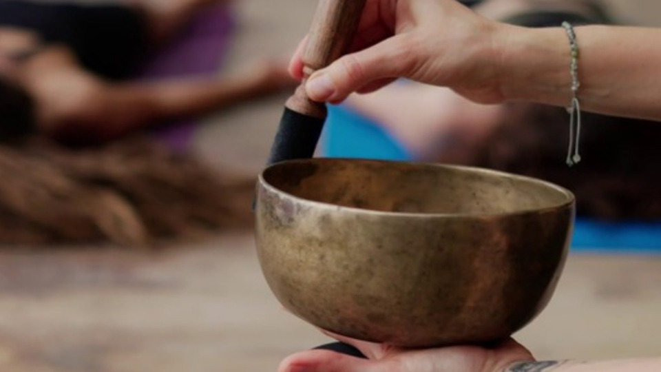 Elements Of Yoga Ms Schedule