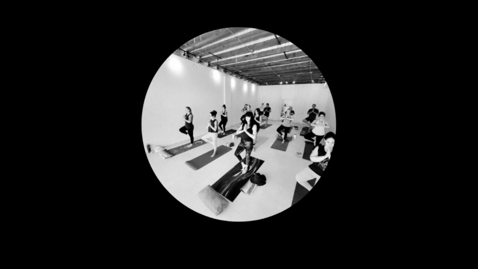 in the FOLD - Hatha Vinyasa