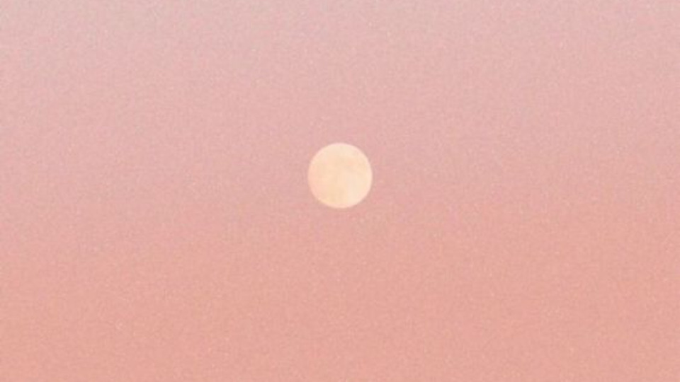 The Ultimate Yogin ✨