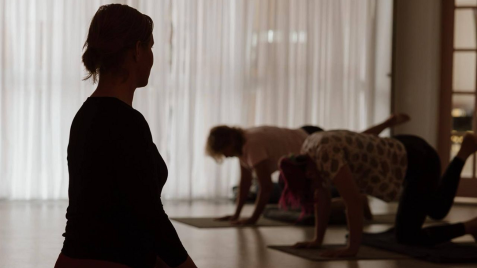 Mindful Movement Introduction Pass