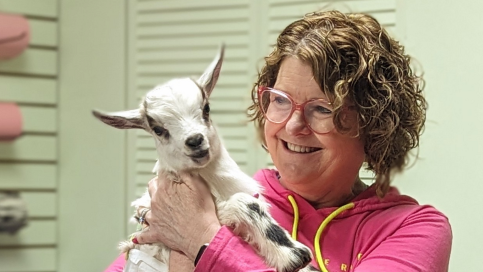 Baby Goat Yoga with Spring Hollow Ranch