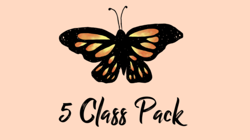Five Classes ($55)