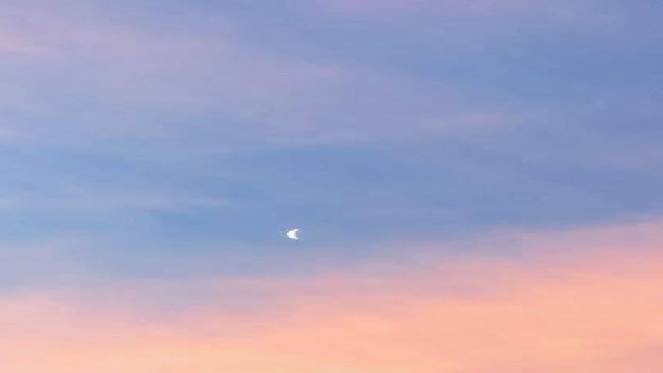 Offering Image