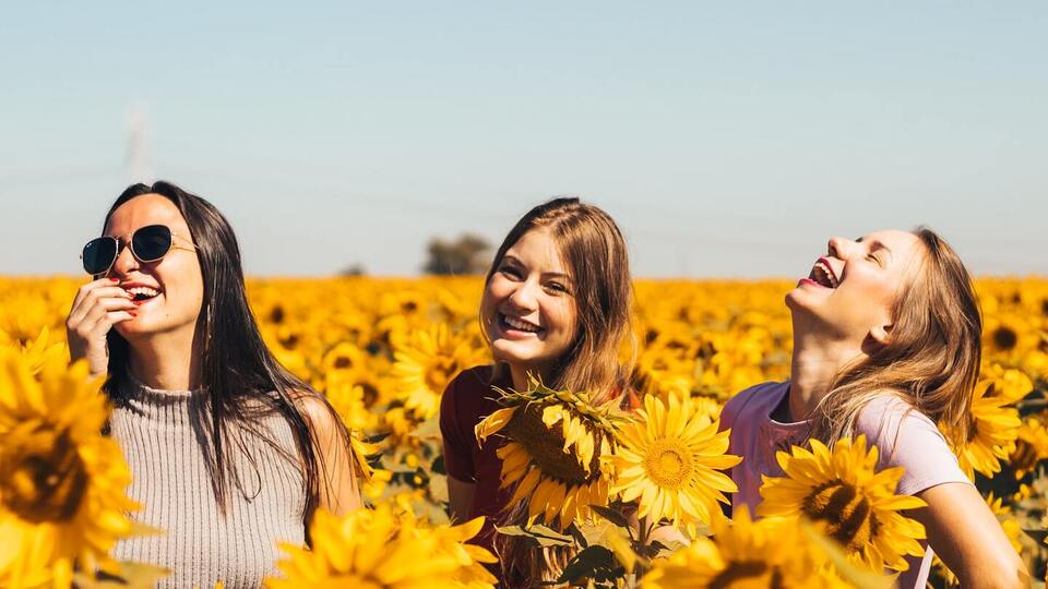 Small Group Movement Training