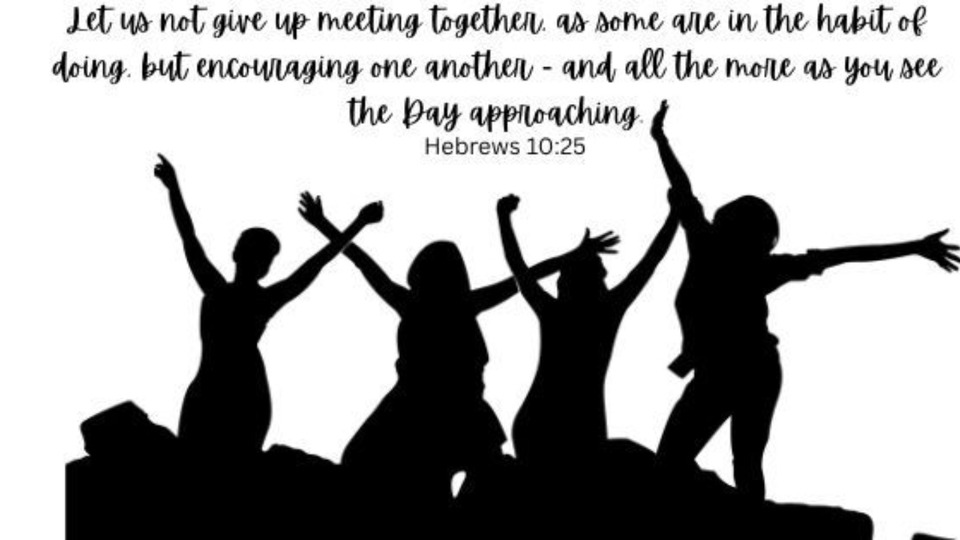 Access to Live Coaching Calls