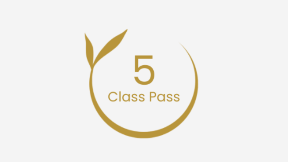 5 Class Pass
