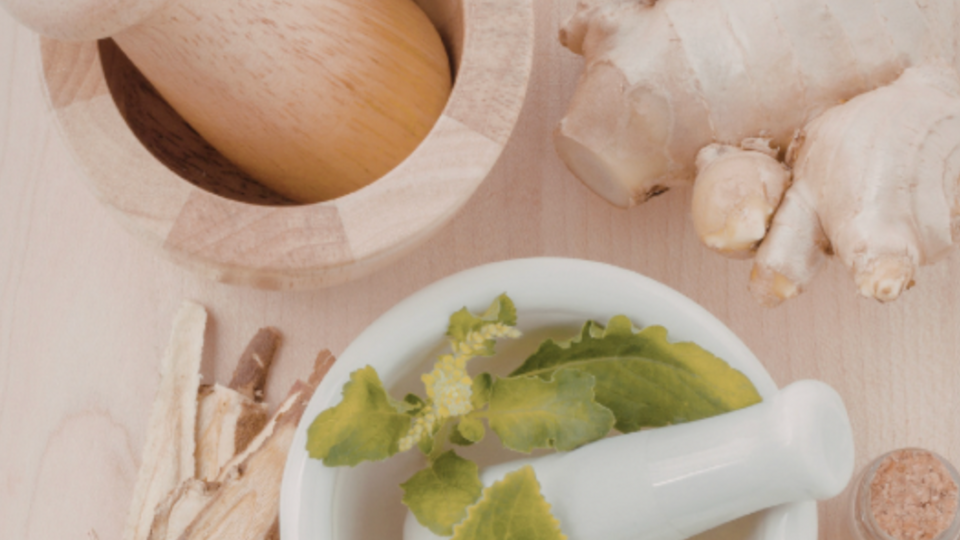 Ayurvedic Herbal Consults