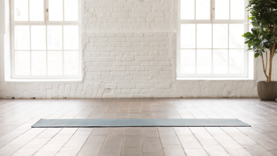 Yoga Therapy Consultation