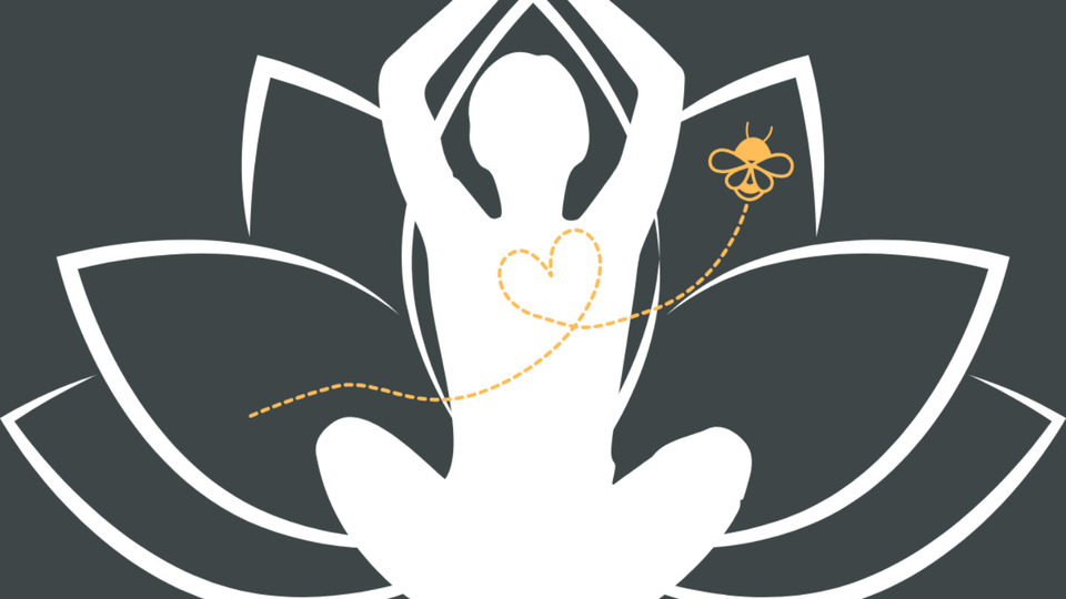 Single Class Pass (Drop In)