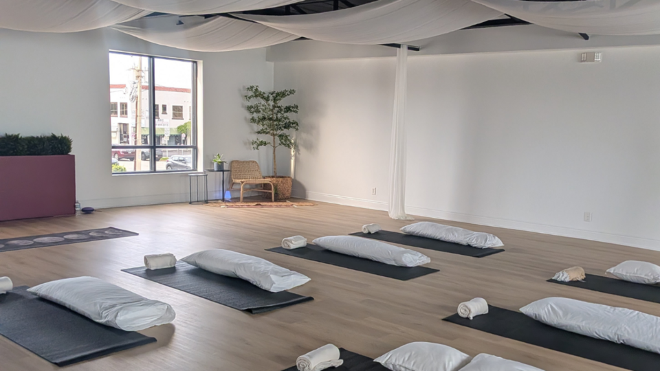 MOTH(er) Prenatal Flow