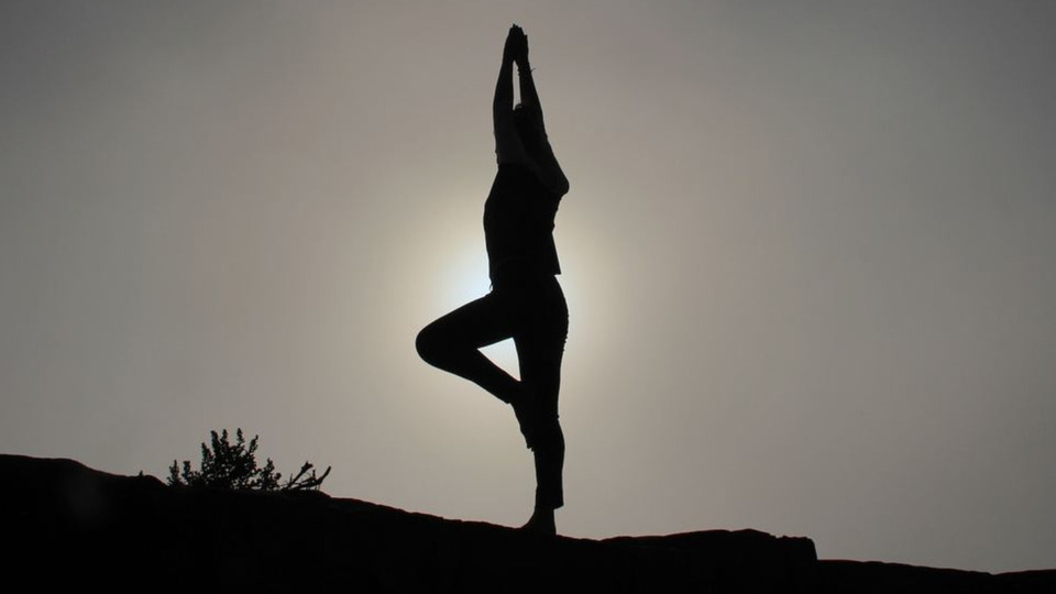 Zen to You  On-Site Private Yoga