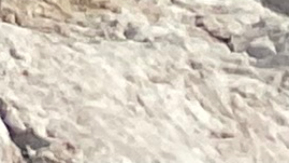 Offering Image