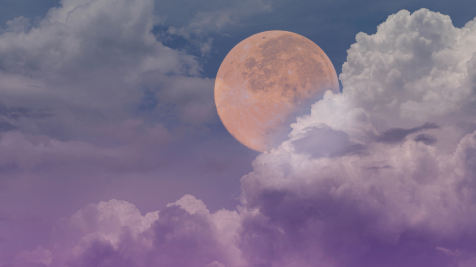Moon Medicine Circle