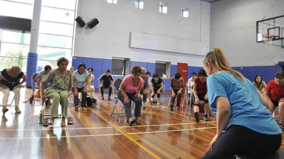 Chair Yoga Foundations Resources Module