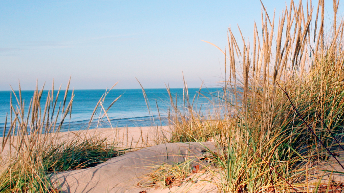 Milwaukee Summer Retreat