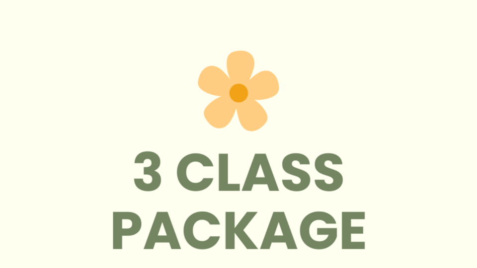 3 Class Package