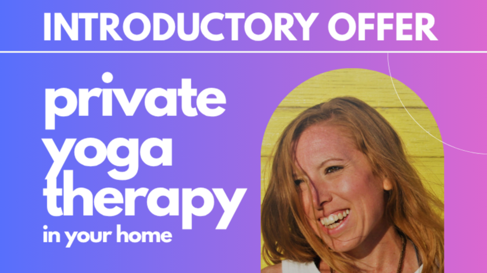 INTRODUCTORY: New Client In-Home Package