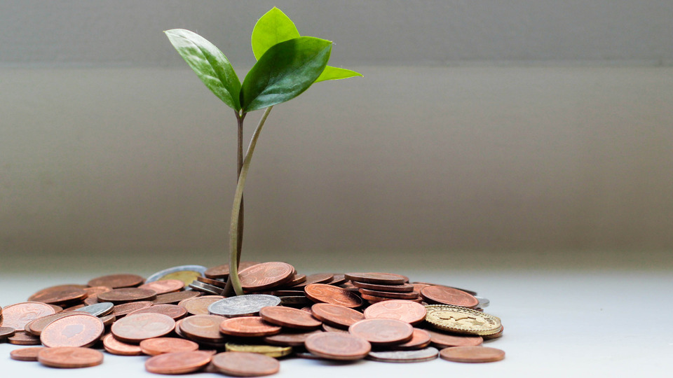 Yoga Therapy 8 sessions Scholarship (2 payment- Financial Justice)