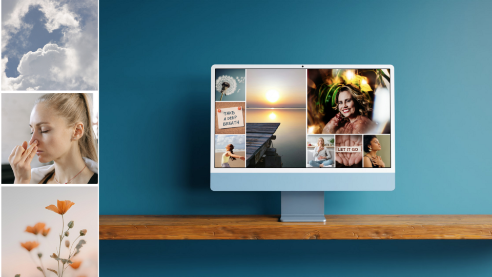 Online Somatic Breathwork - Nicole Orr