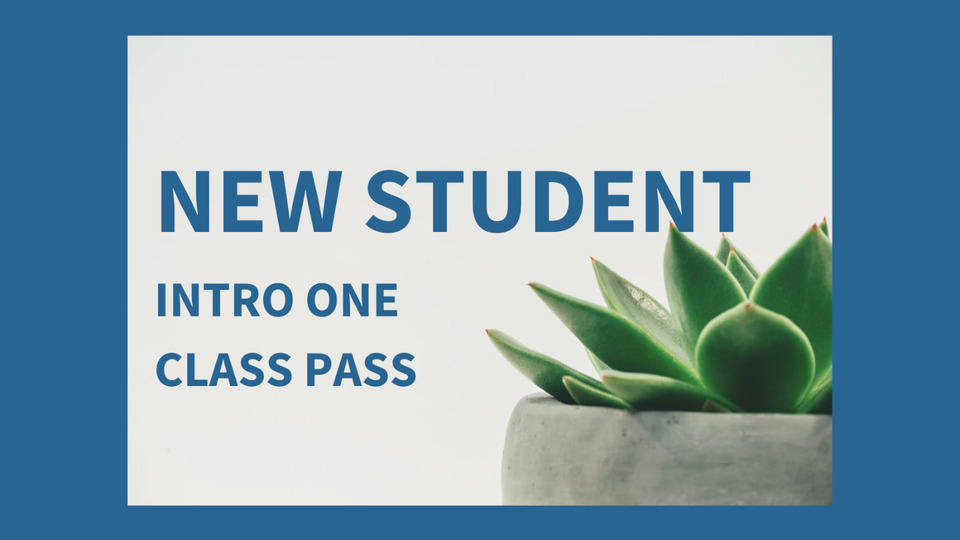 NEW STUDENT : Intro One Class Pass