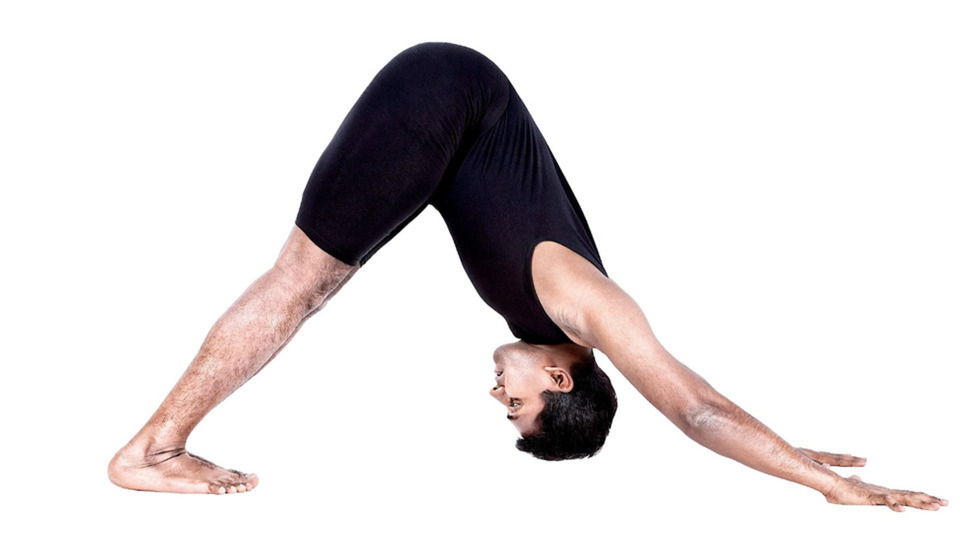 Video Library (6 months)