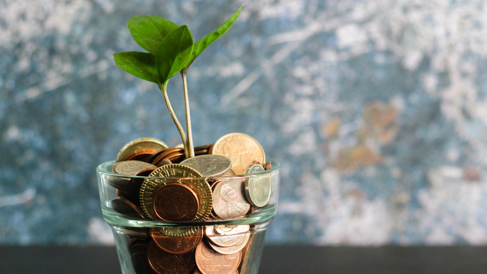 Yoga Therapy 8 Pack scholarship (Financial Justice Package)